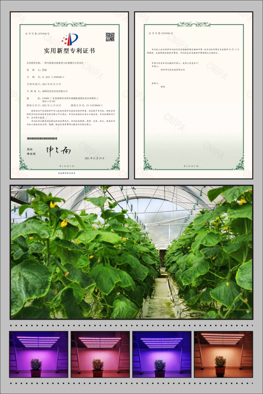 J9����ֲ��ũ����ʵ������ר��
