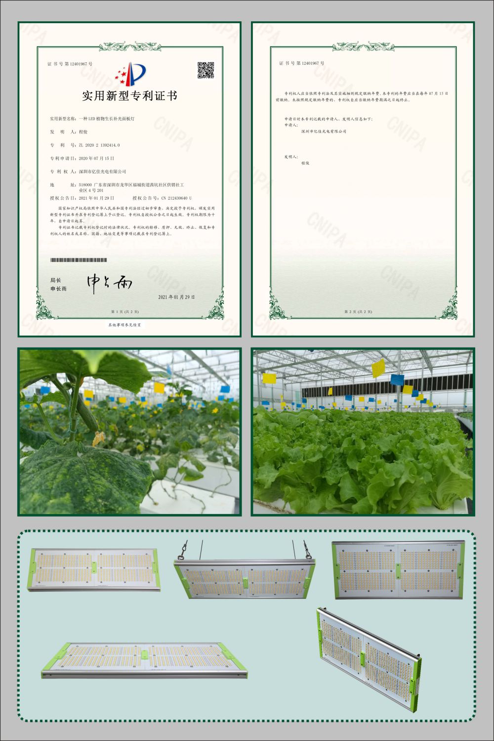 J9����ֲ��ɳ�����ʵ������ר��